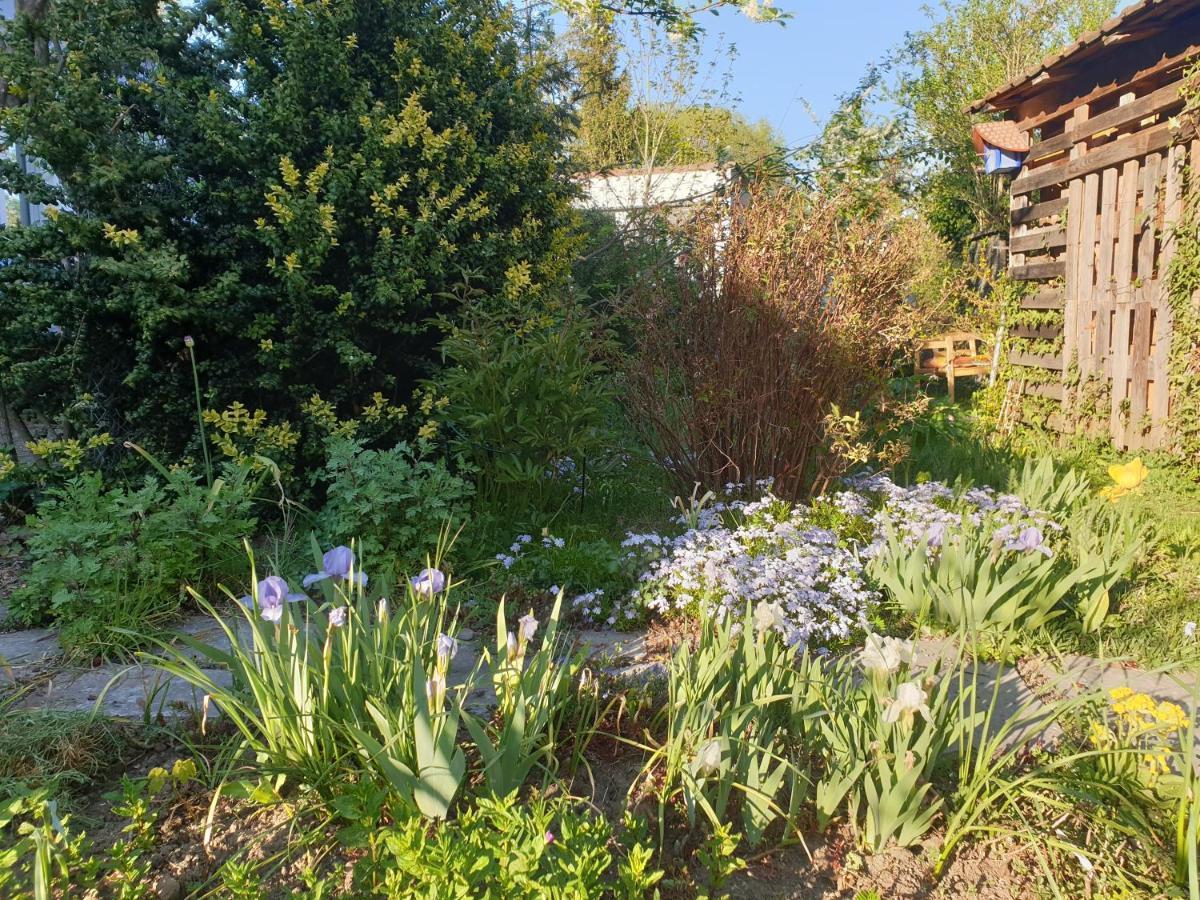 Unser Obervolkacher Ferienhaus-Einfach Gemutlich! Exterior photo